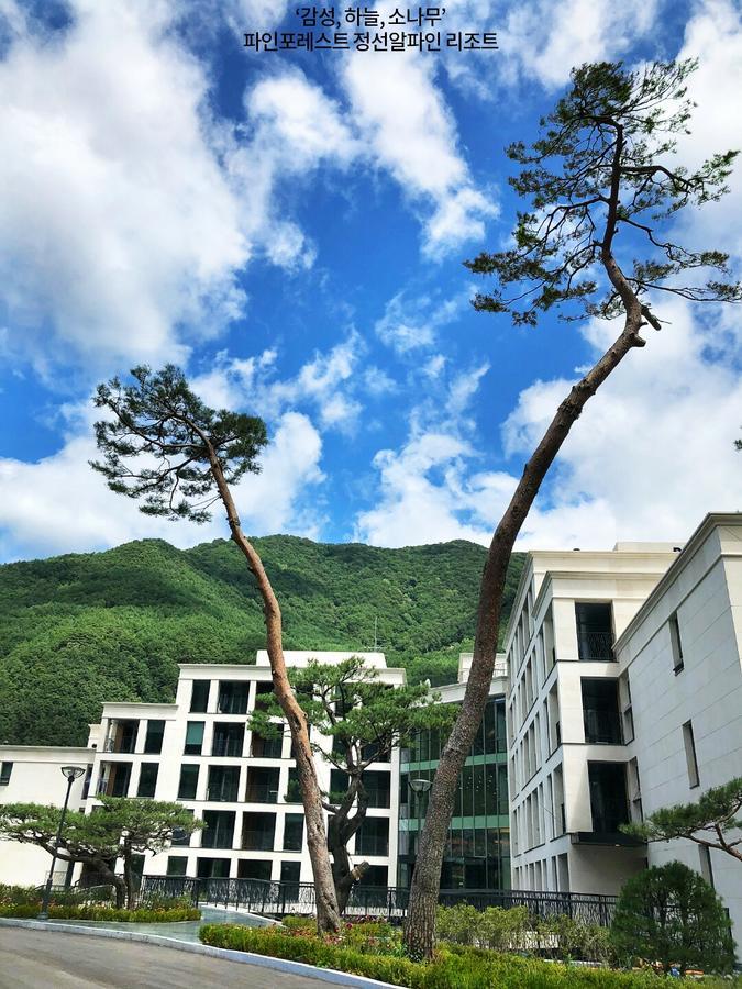 Pine Forest Jeongseon Alpine Resort Exterior foto